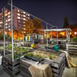 Pattons helps create a haven for refugees on Rooftop Garden